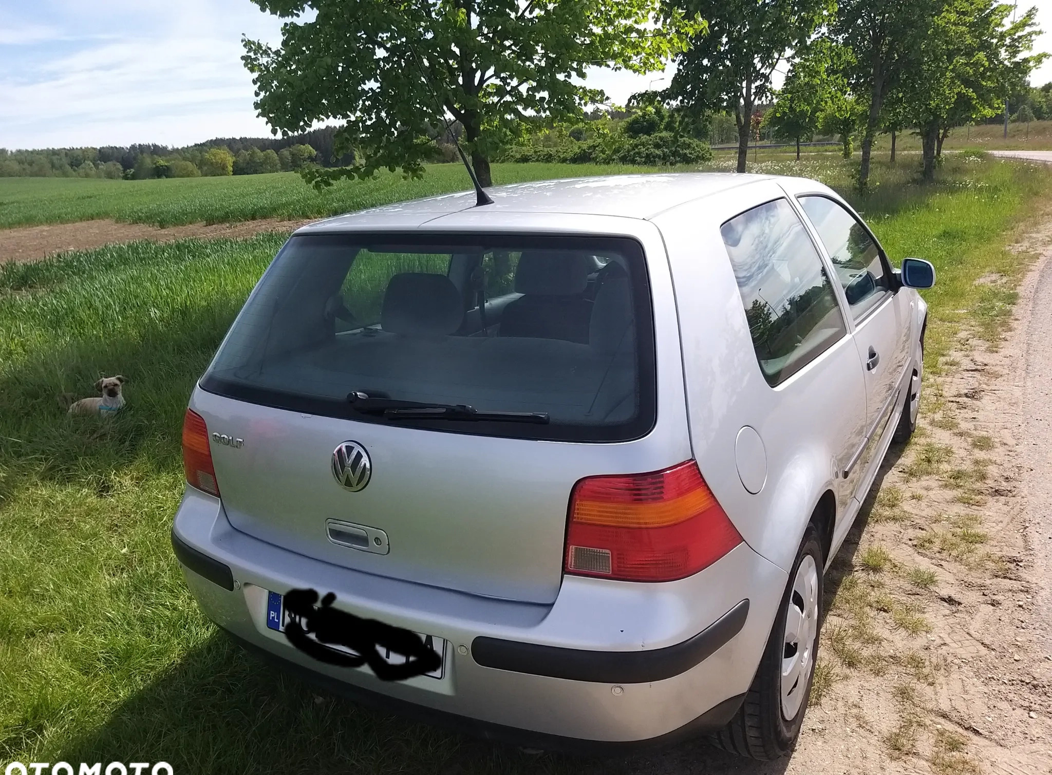 Volkswagen Golf cena 6200 przebieg: 164000, rok produkcji 2000 z Rymanów małe 137